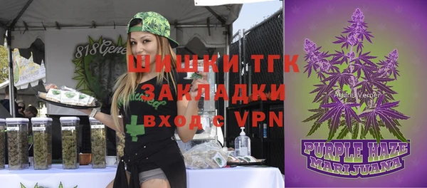 прущие грибы Мегион