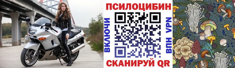 Купить  Елец  Псилоцибиновые грибы MAGIC MUSHROOMS 